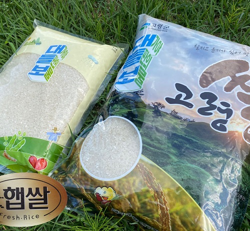 [대가야쌀연구회]2023년 햅쌀 4kg,10kg(고시히까리)