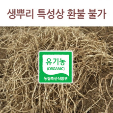 [다산어성초농장]생뿌리 1kg